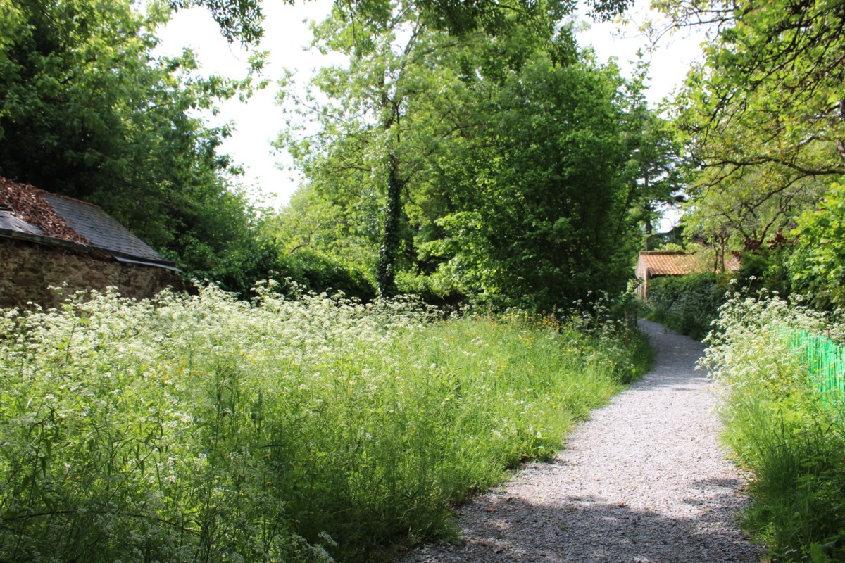 29-JBVigier-IMG_1121