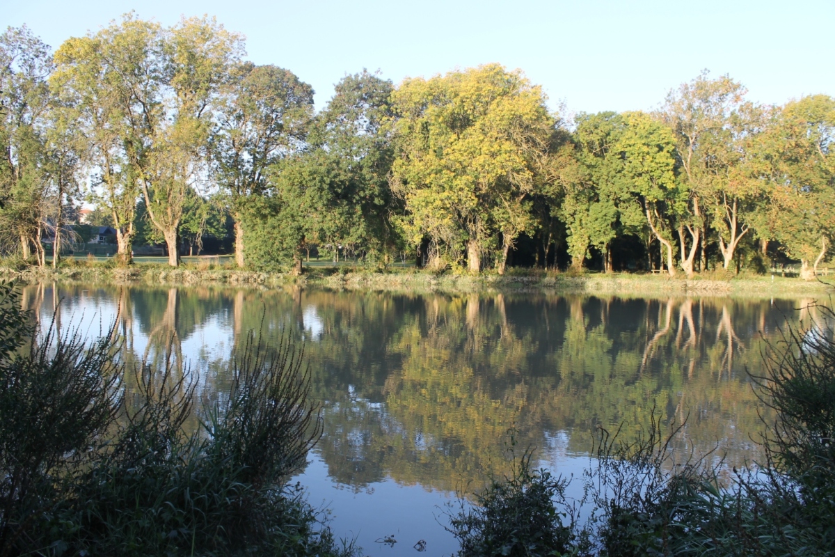 0ct-quai-Loire-Sevre-014
