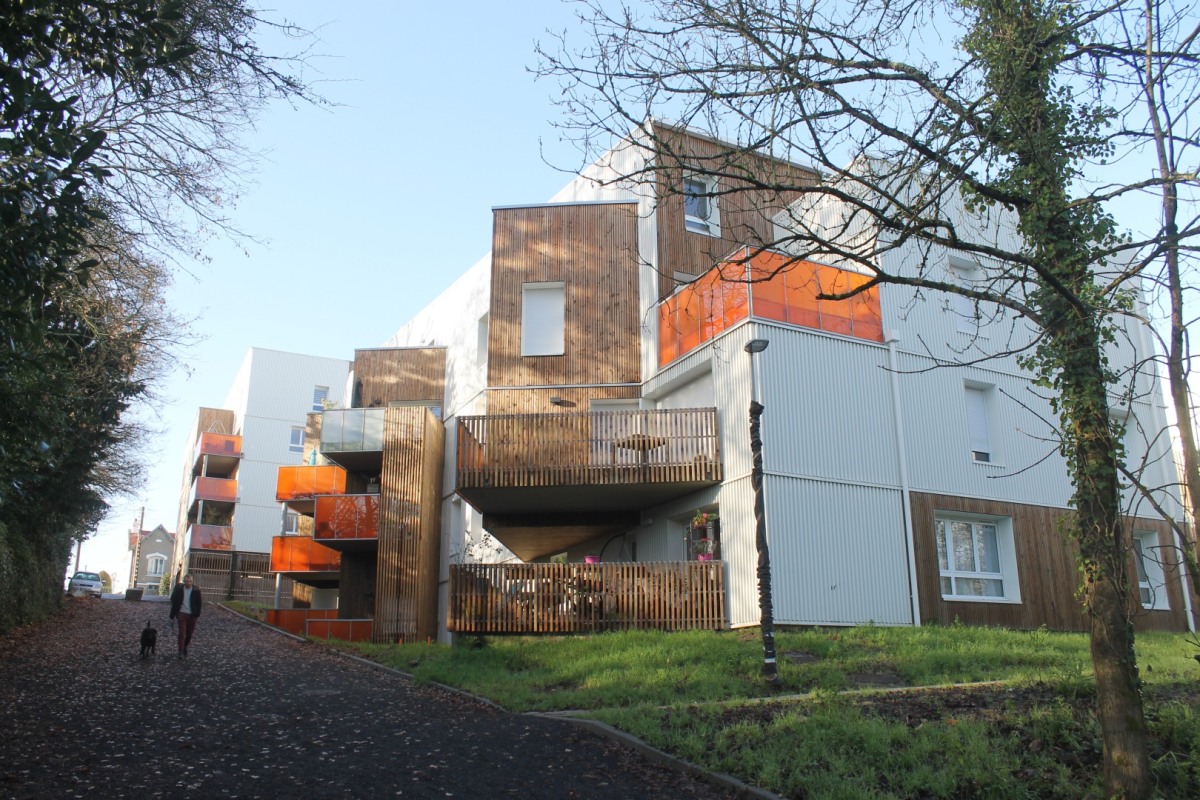 Motte-IMG_2624