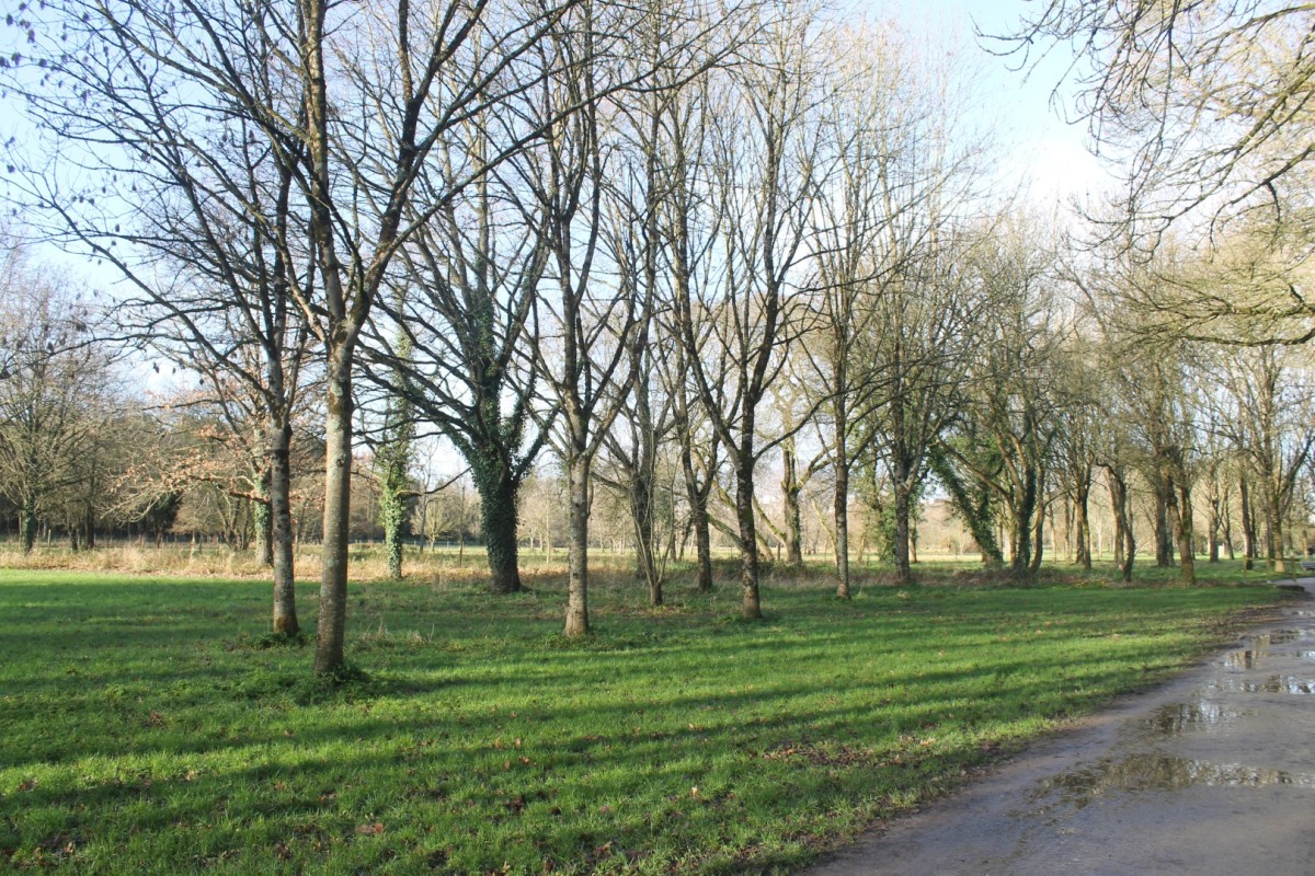 prairies-IMG_2631