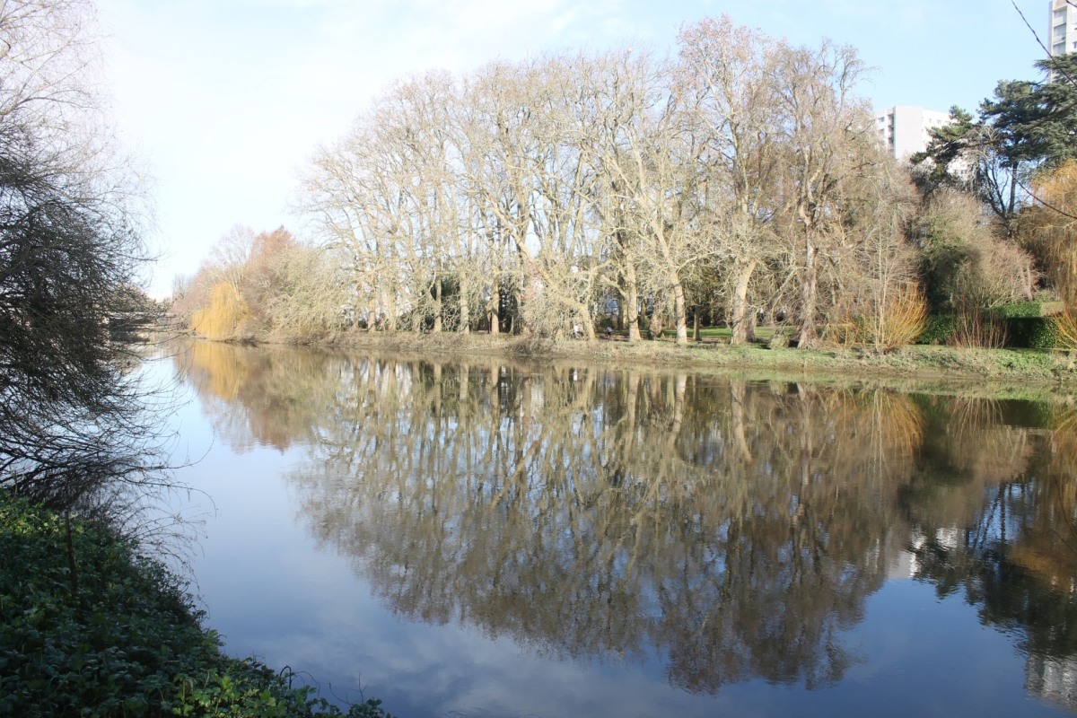 rives-IMG_2634-Persagotiere