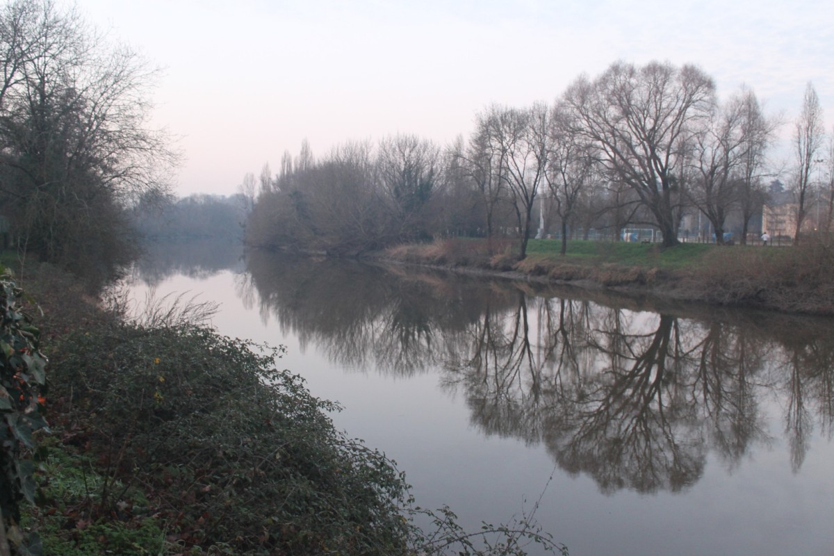 rives-IMG_4521