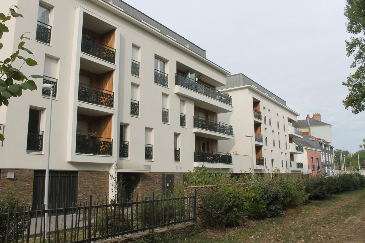 Verdure-IMG_0912