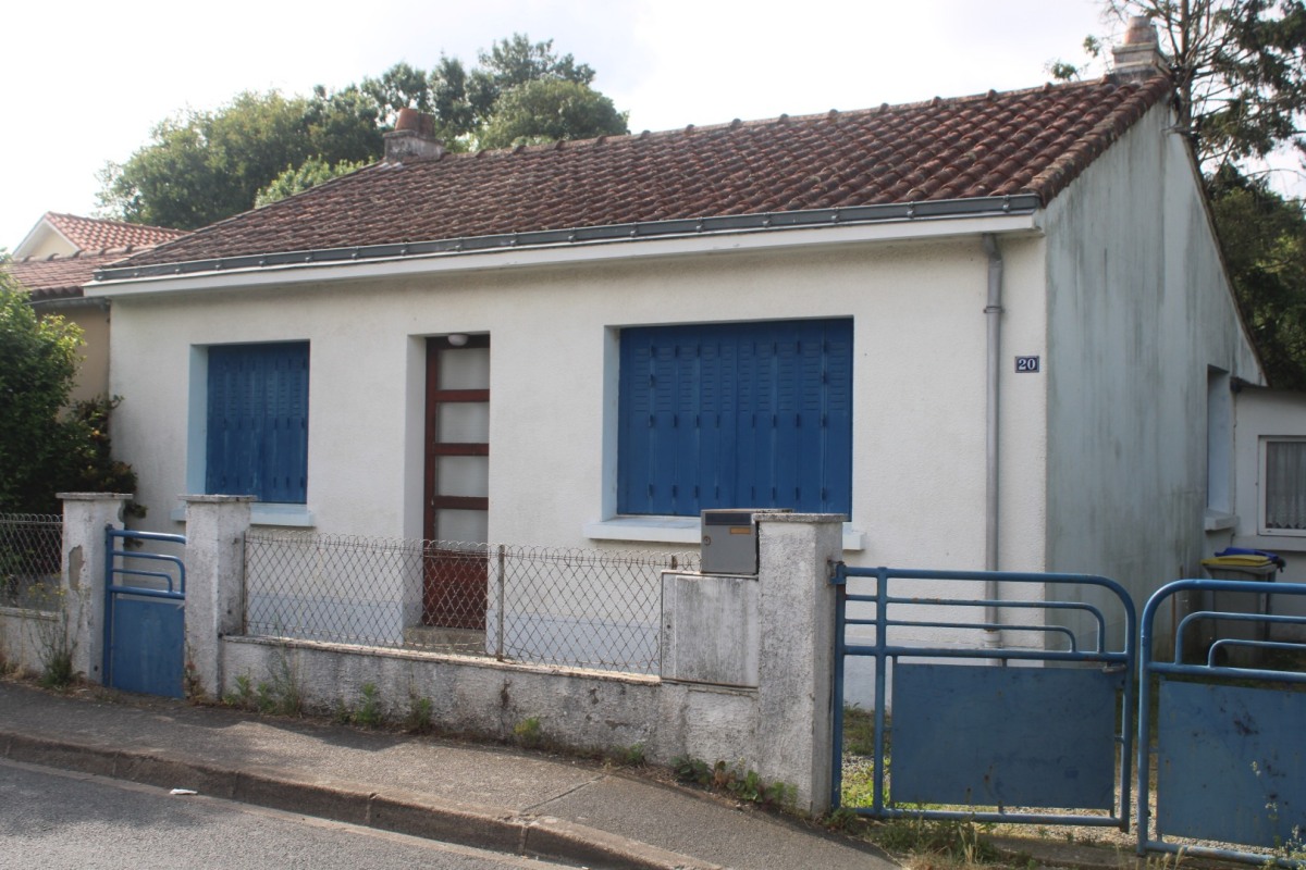 20-Zola-IMG_1922