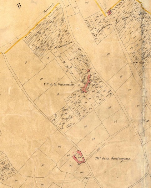 1826-B3-Galarniere-Sansonniere