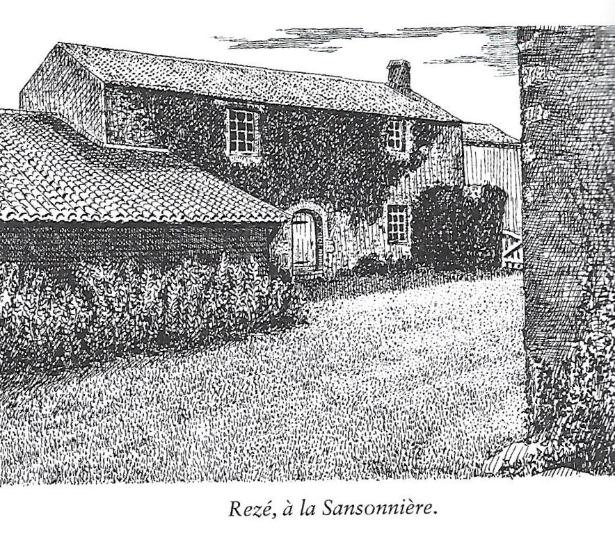 84-Sansonniere-MK-282