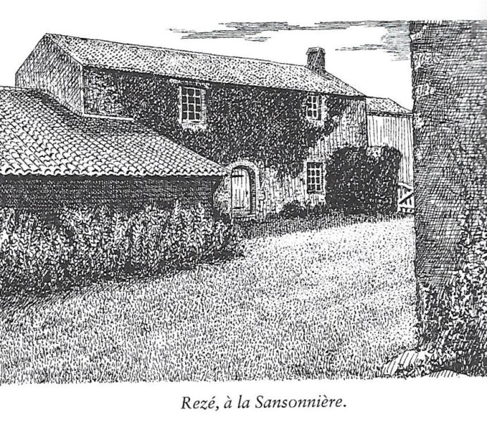 84-Sansonniere-MK-282