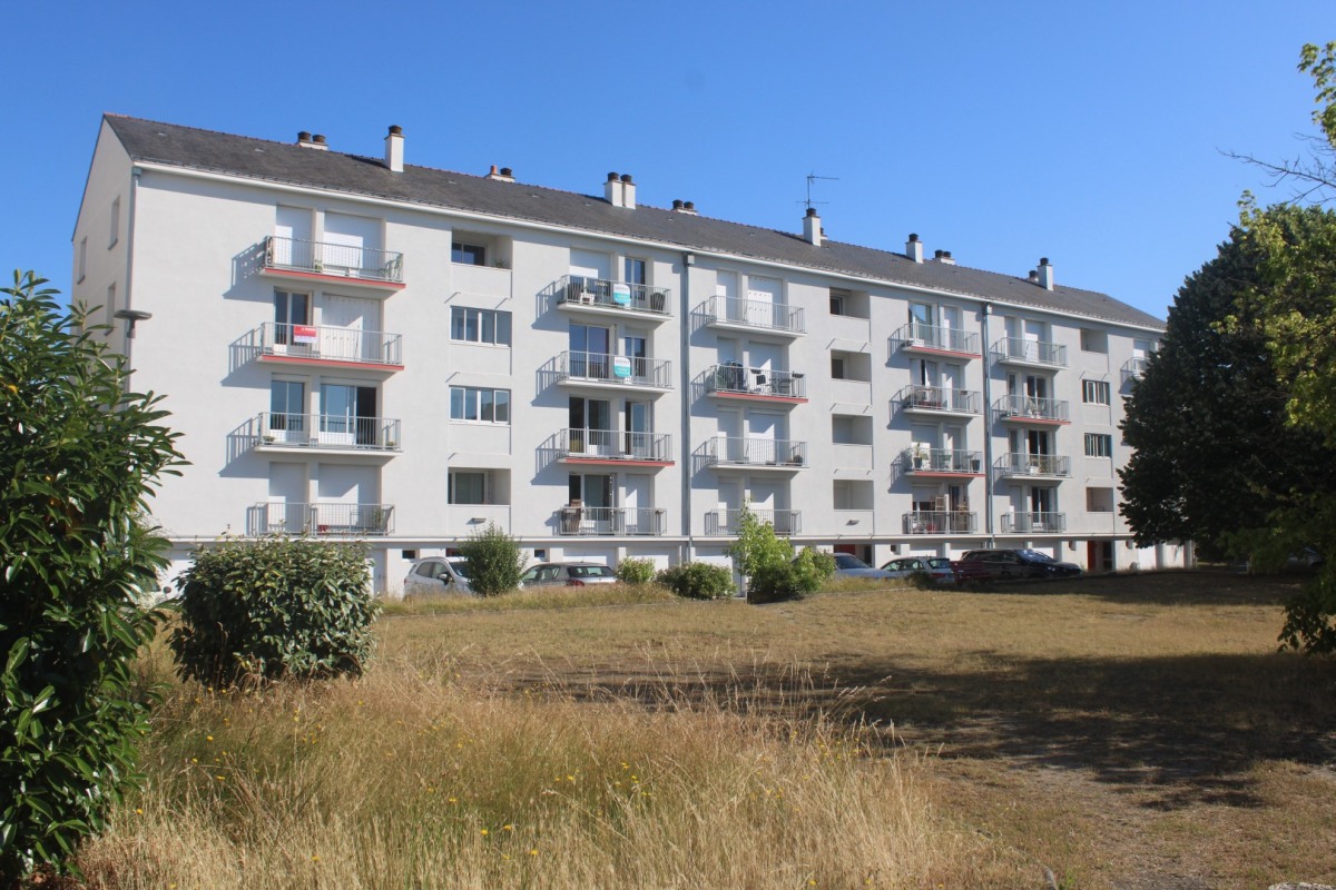 Pinier-immeuble-IMG_2594
