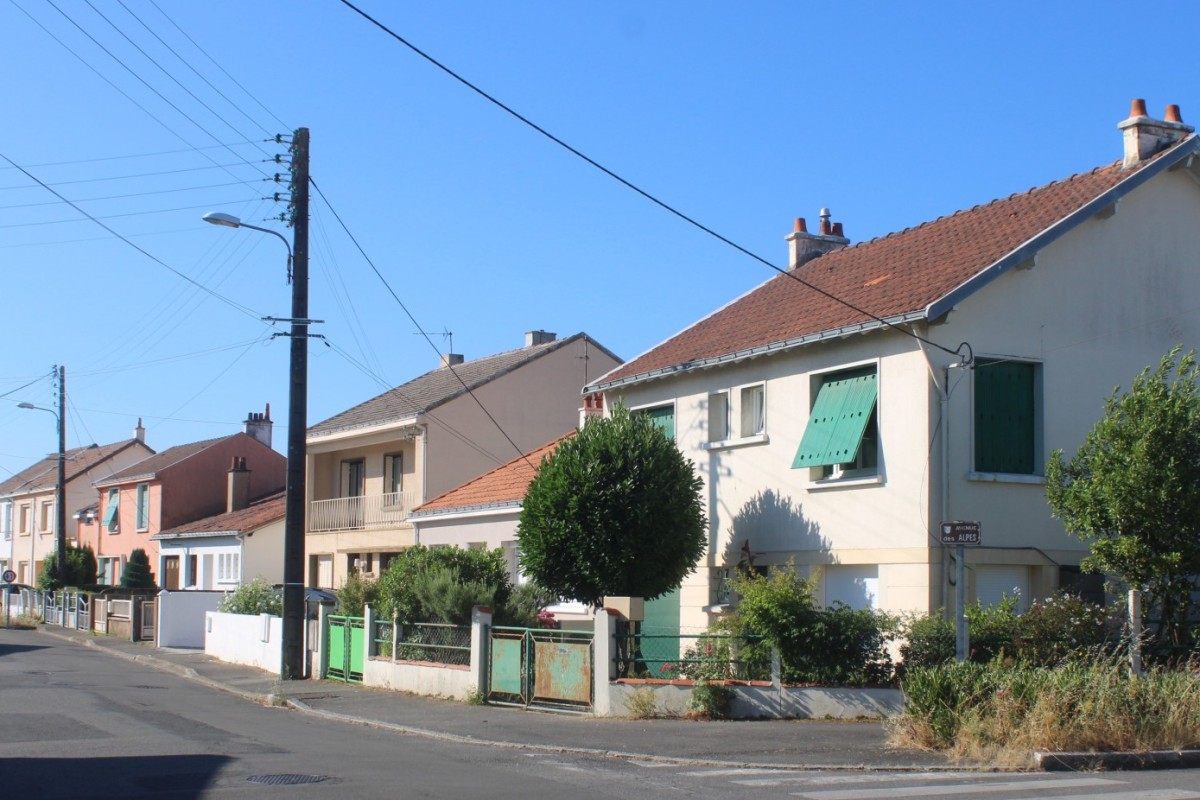 10-Tendron-IMG_2572