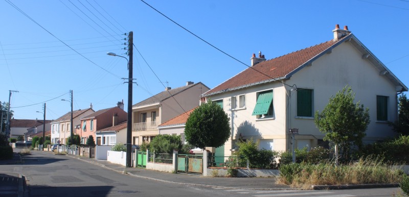10-Tendron-IMG_2572