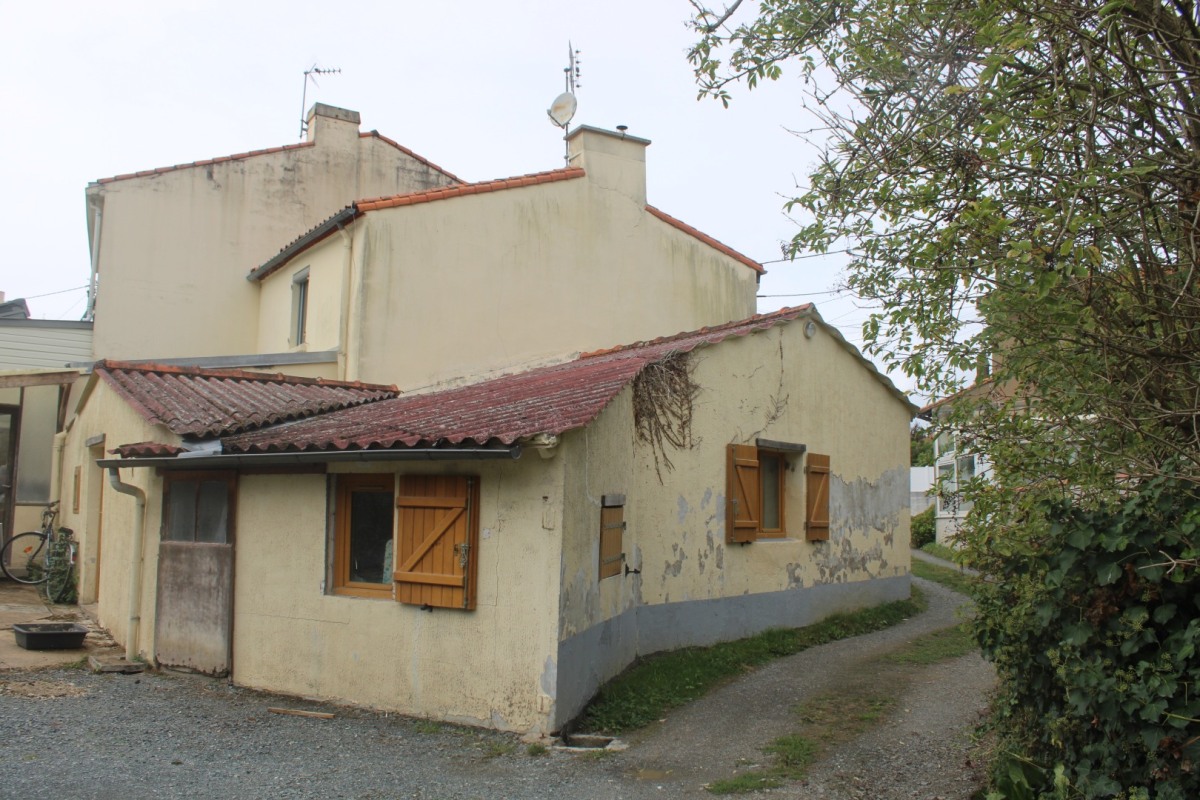 Ilette-IMG_4640