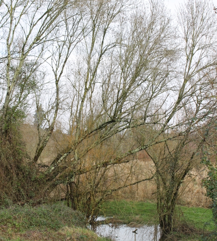 Vallee-013
