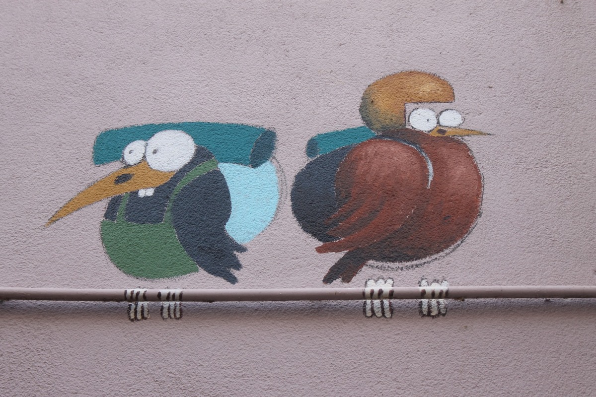 Boju-IMG_6616