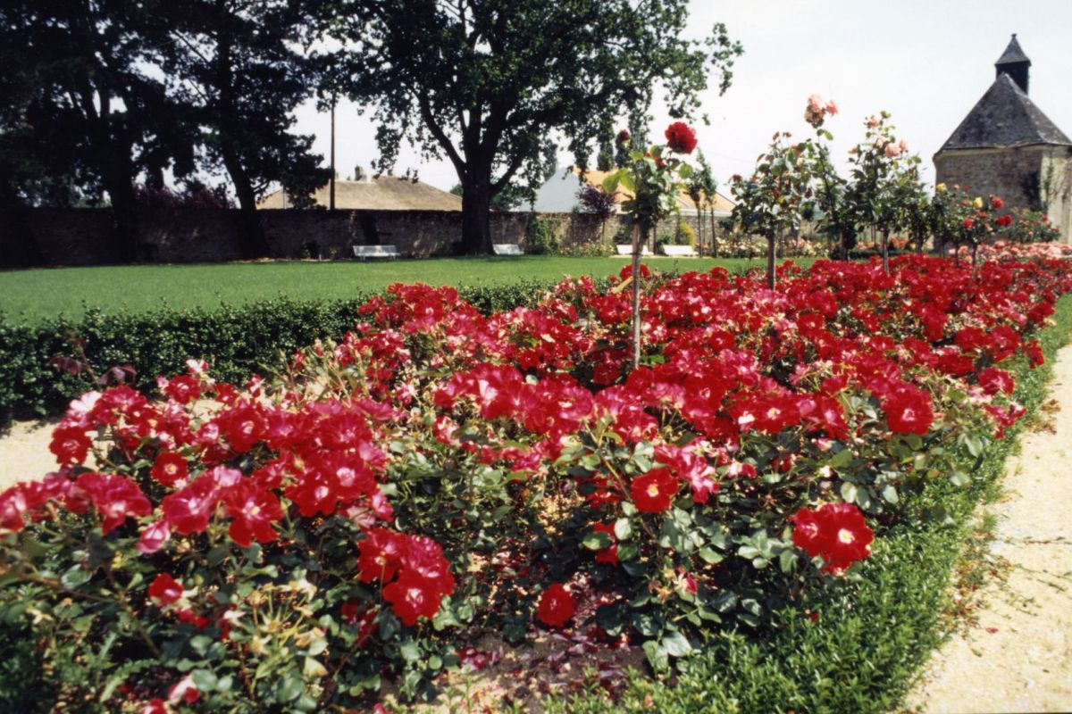 AMRezé_1998-FRAC044143_505W551_30