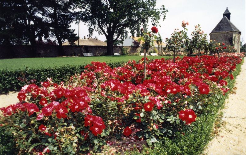 AMRezé_1998-FRAC044143_505W551_30