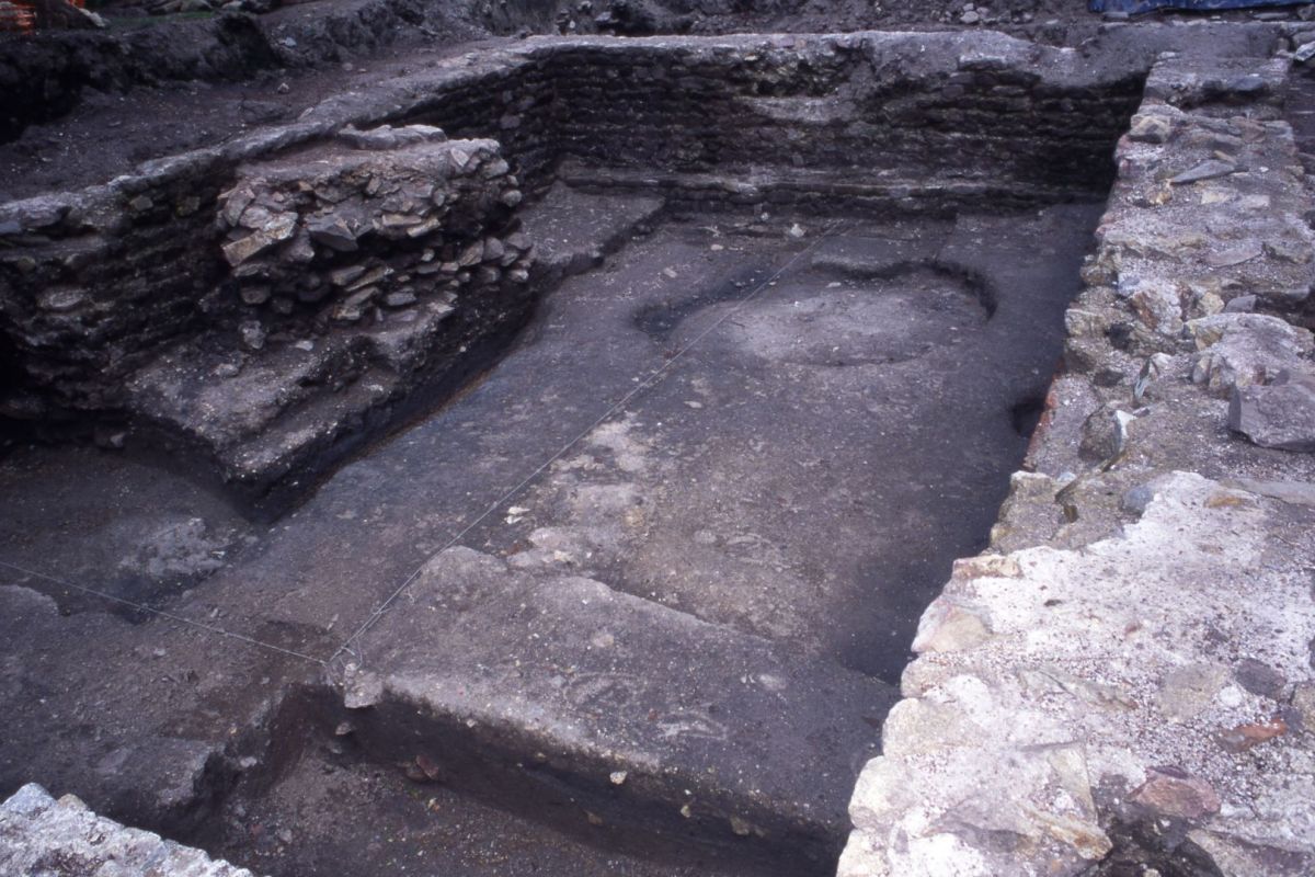 AMRezé_550W361_01_15