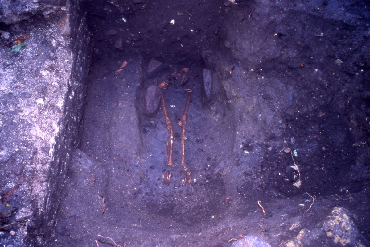 AMRezé_550W361_01_24