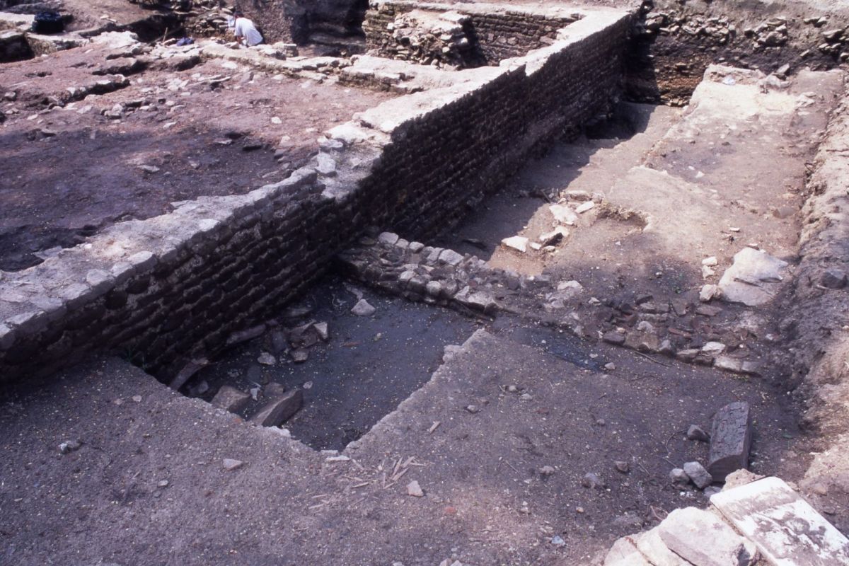 AMRezé_550W361_01_30