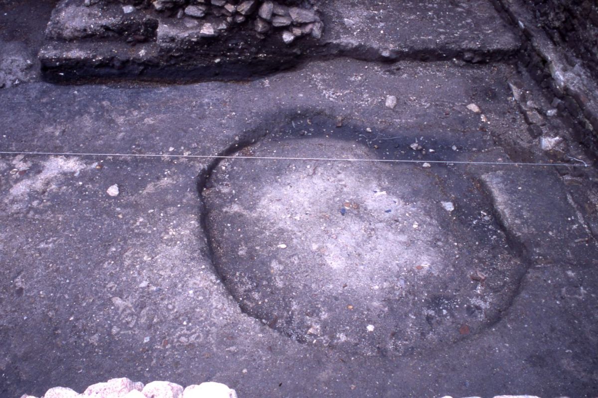 AMRezé_550W361_01_31