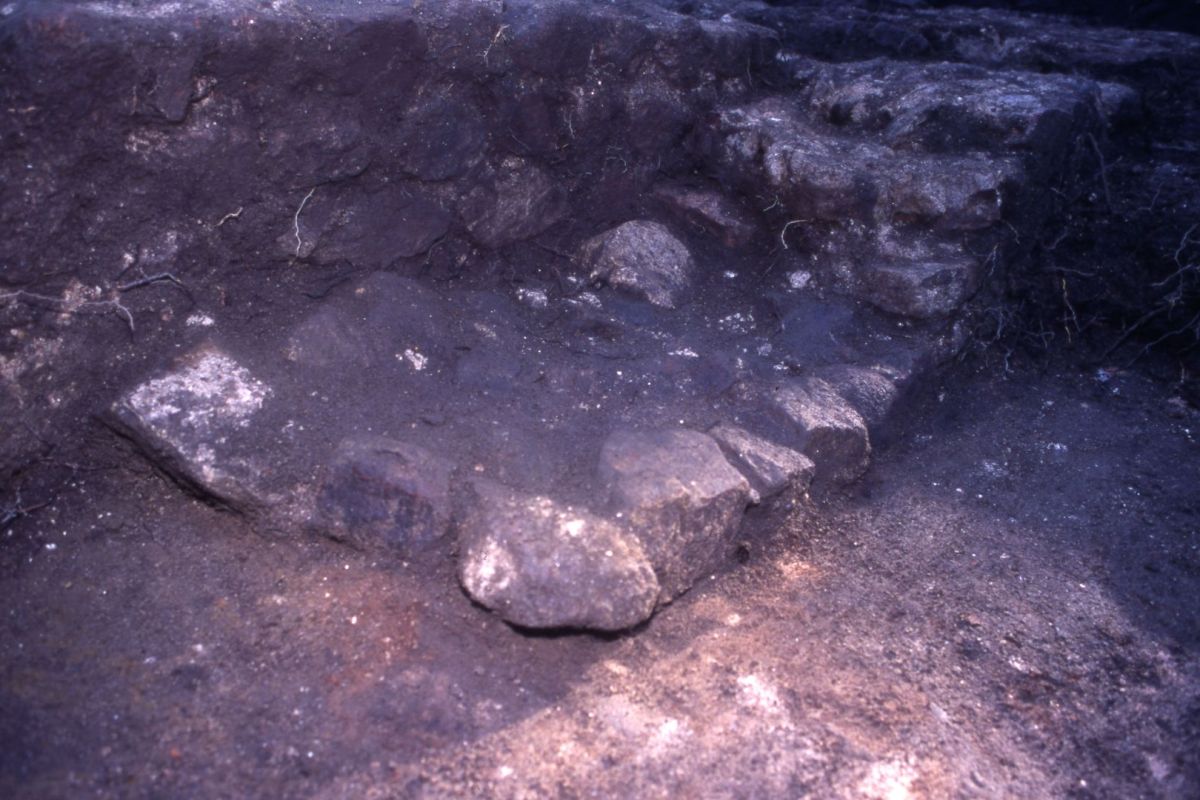 AMRezé_550W361_01_8