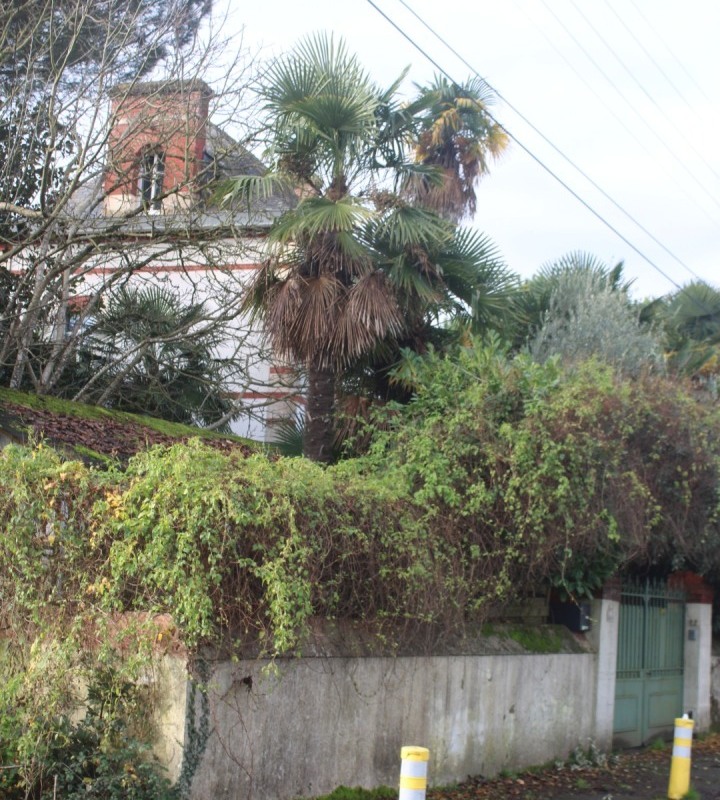 67-Basse-Ile-IMG_5969