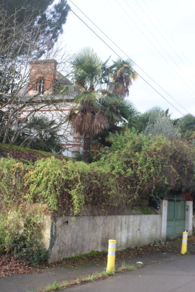 67-Basse-Ile-IMG_5969