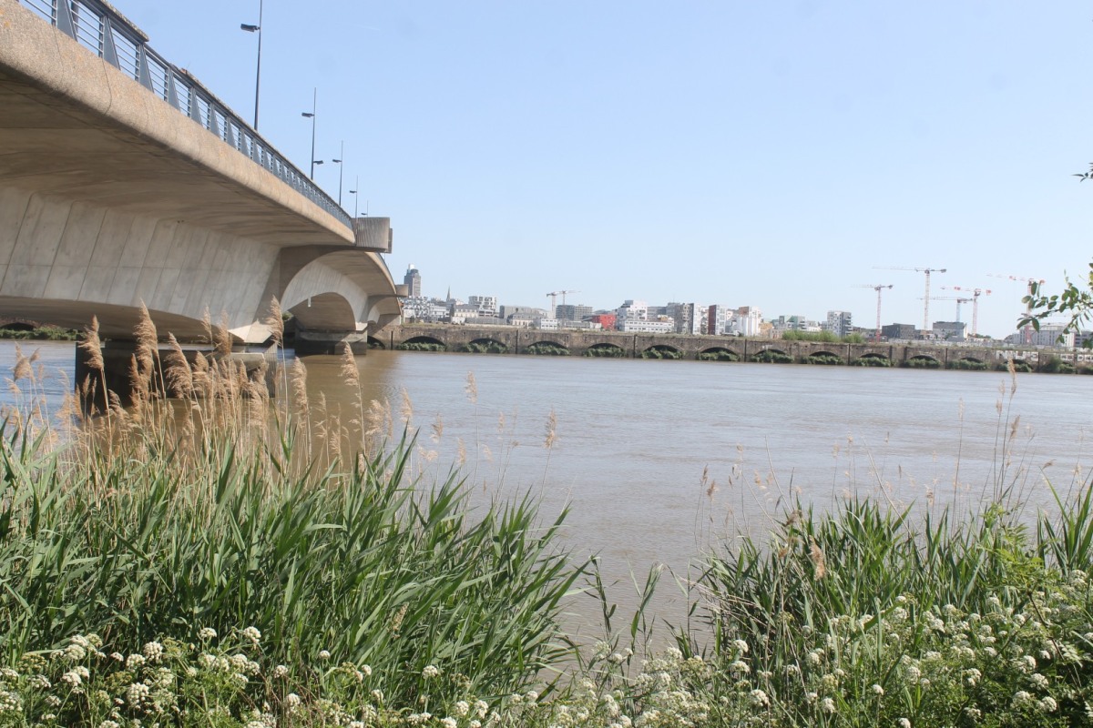 pont-des-3-continents-IMG_2667