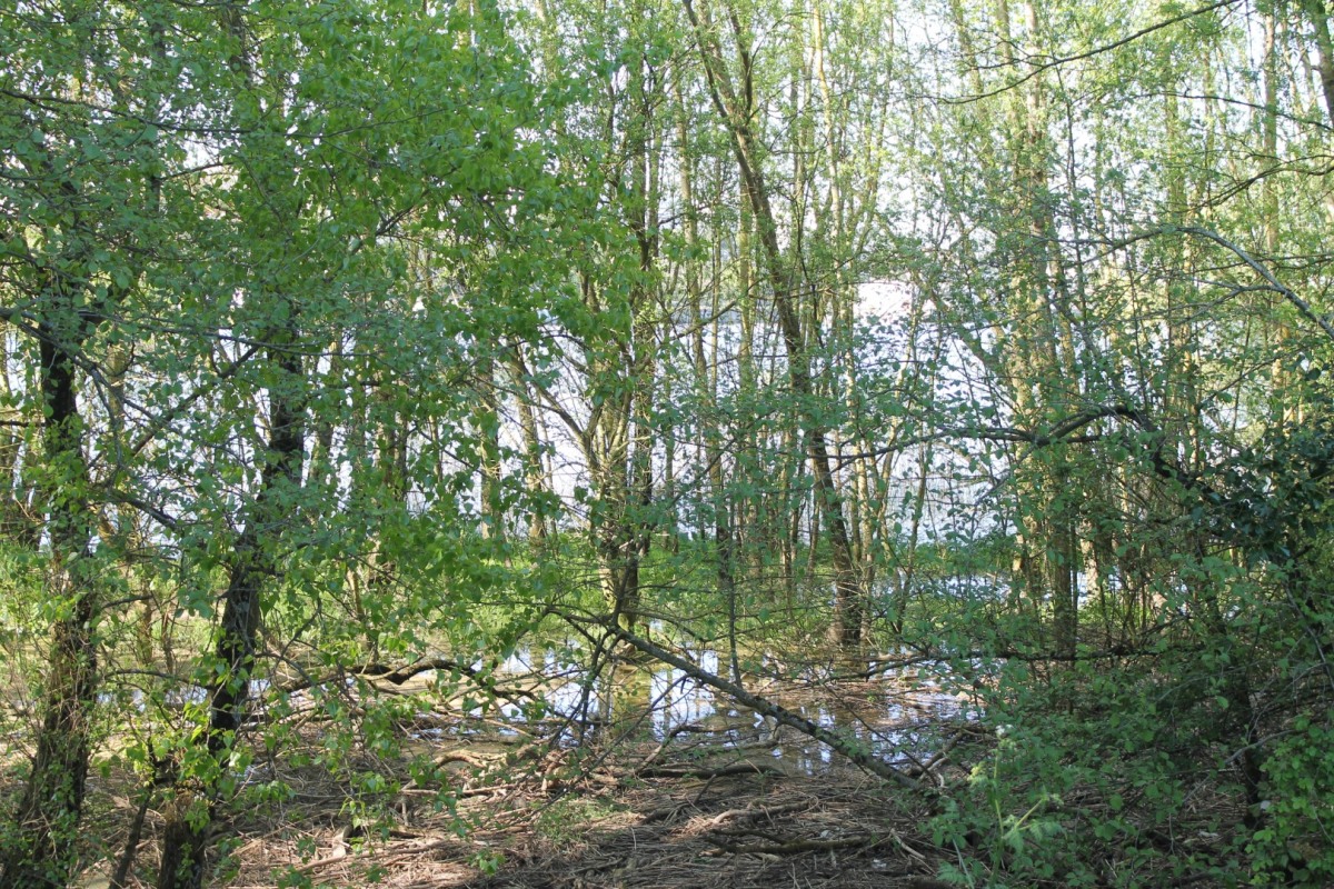 IMG-049