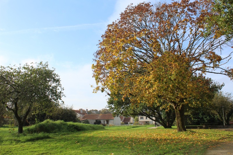 Bourderies-IMG_3910