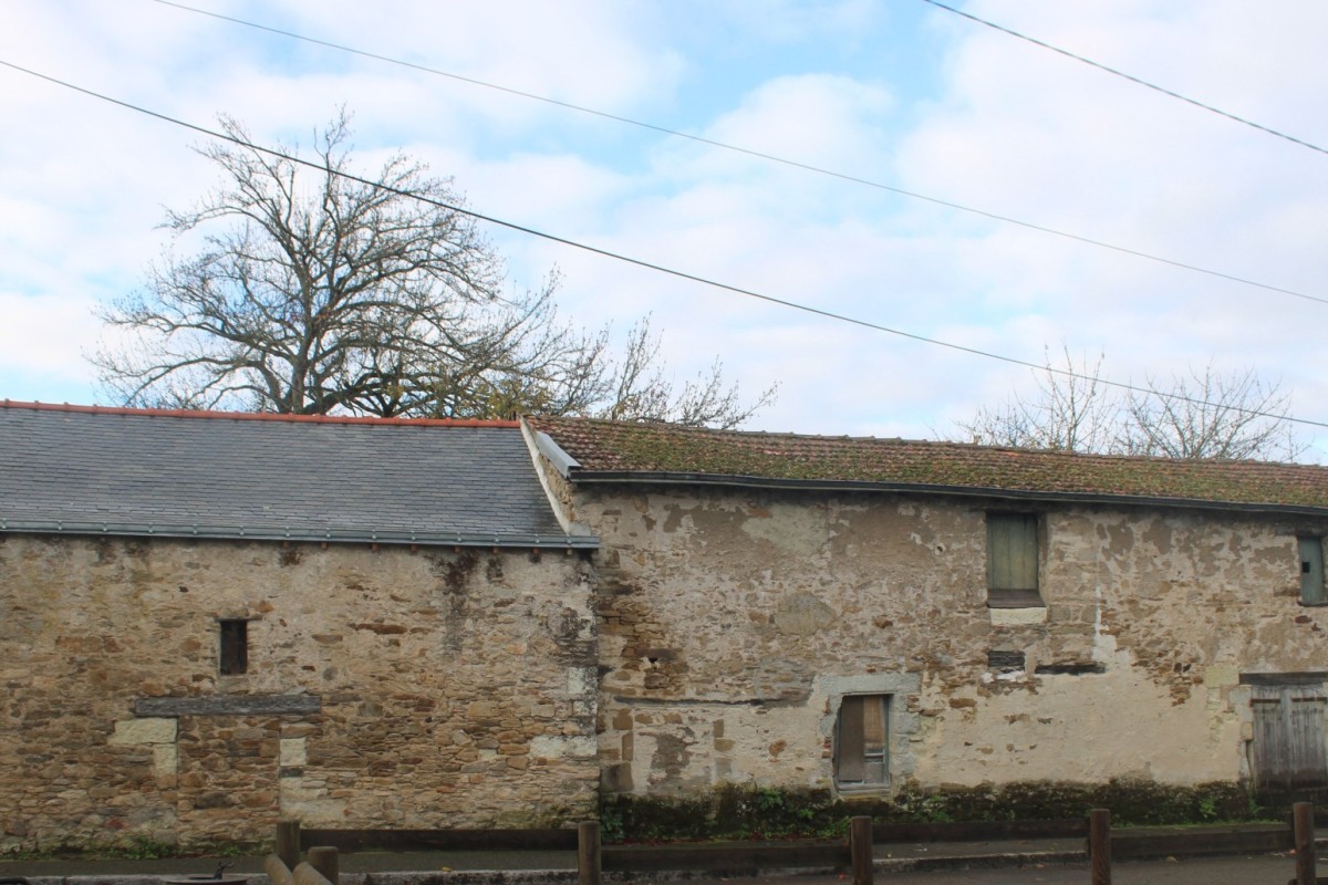 Bourgeonniere-IMG_5625