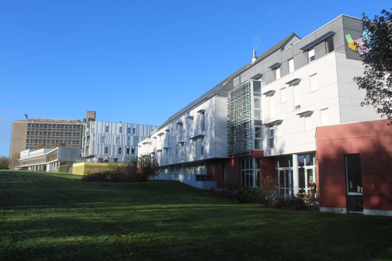 FJT-Grand-Voile-IMG_5564