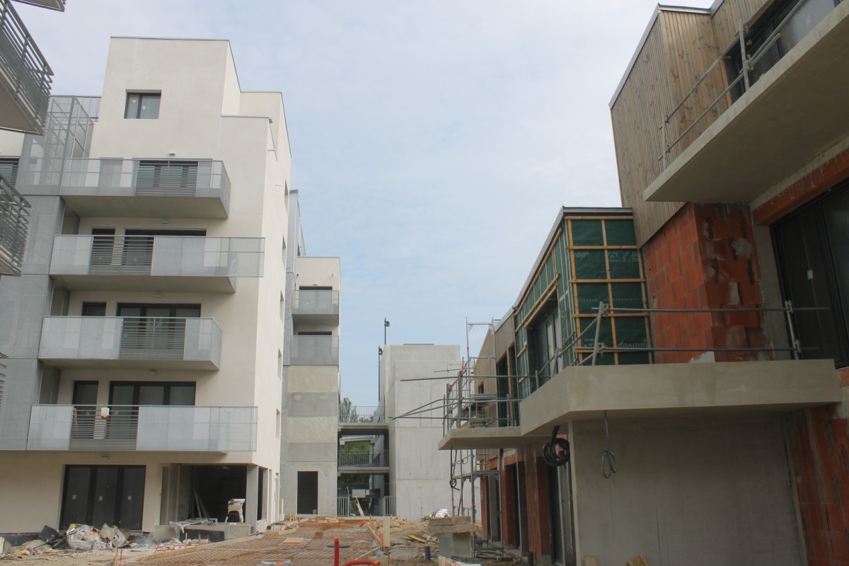 Carre-Daviais-IMG_8697