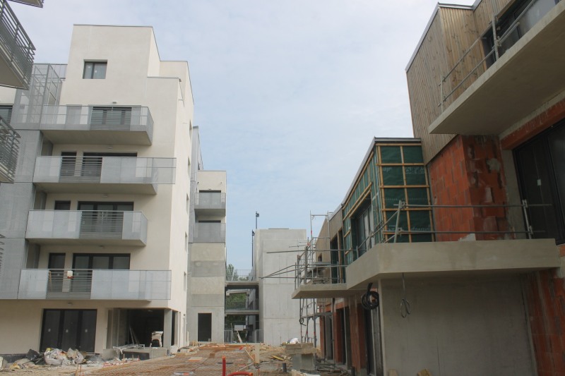 Carre-Daviais-IMG_8697