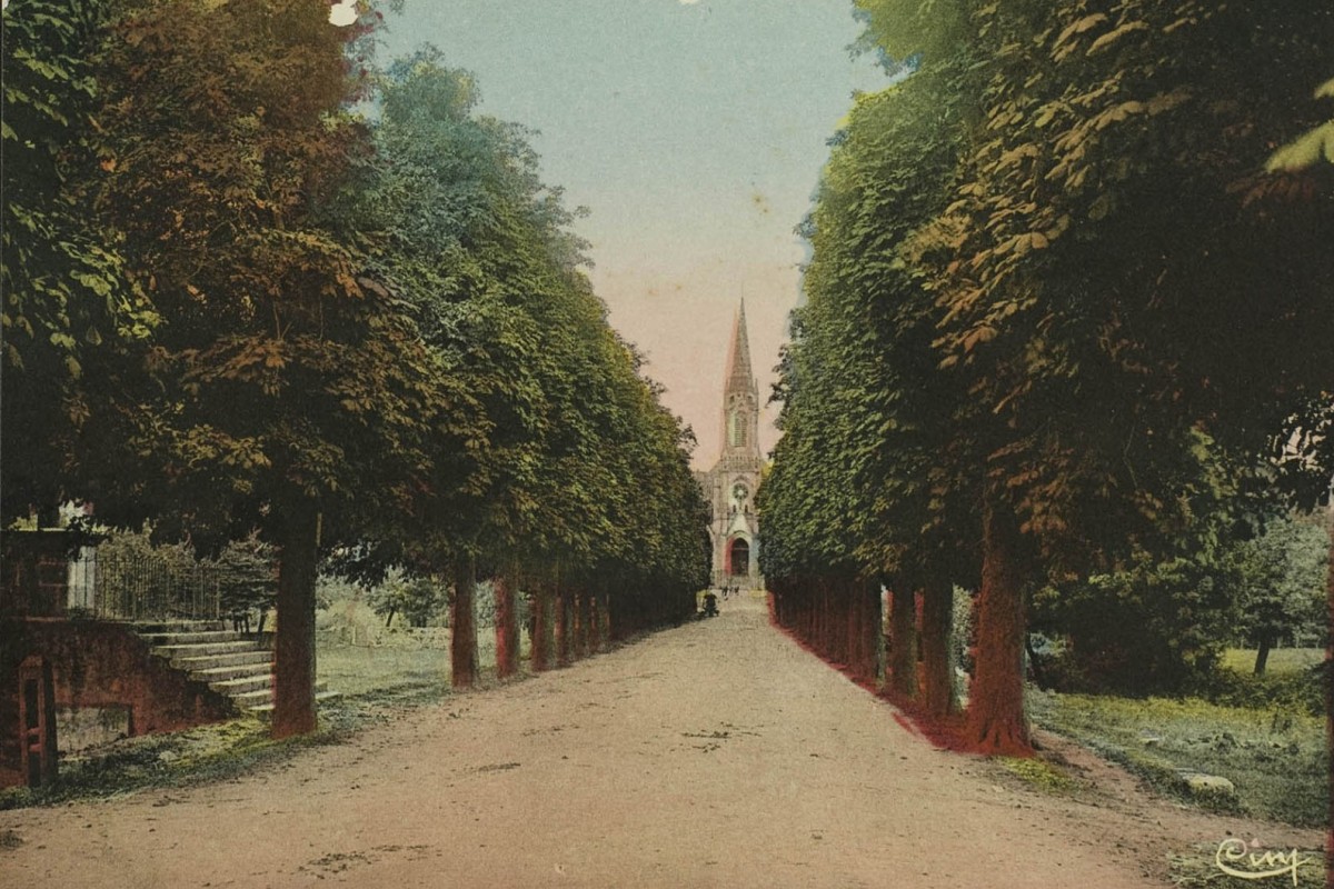 AMRezé_avenue-Loire-arbres-300