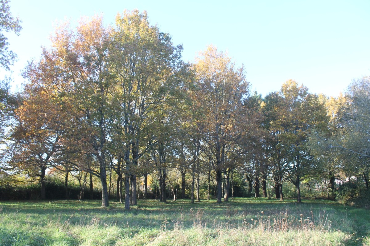 IMG_8001-Bernardiere