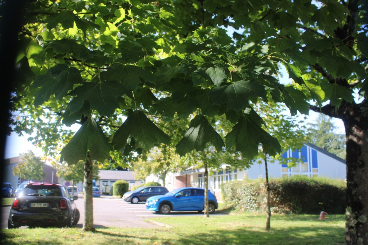 Chaussee-EdF-IMG_4903