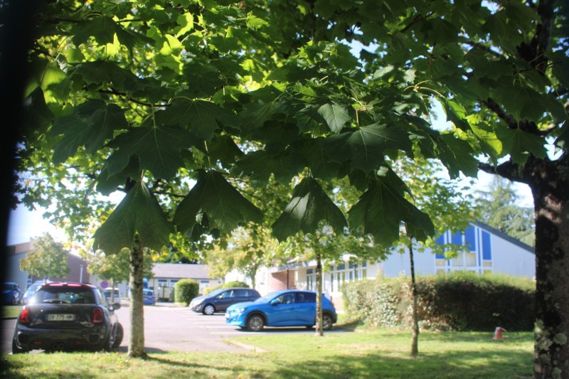 Chaussee-EdF-IMG_4903