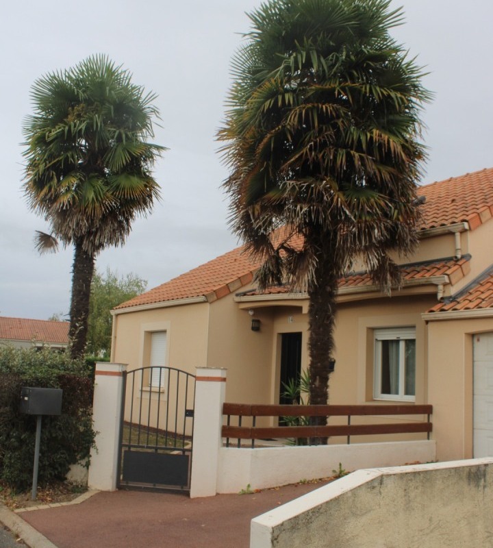 Coran-Mortrait-IMG_4551