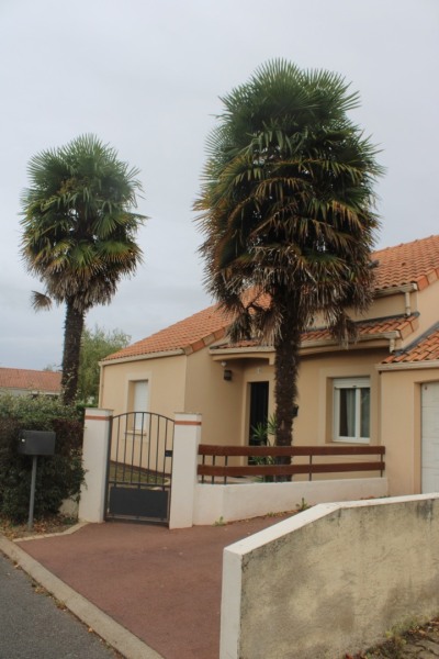 Coran-Mortrait-IMG_4551