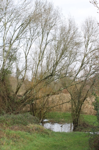 Vallee-013