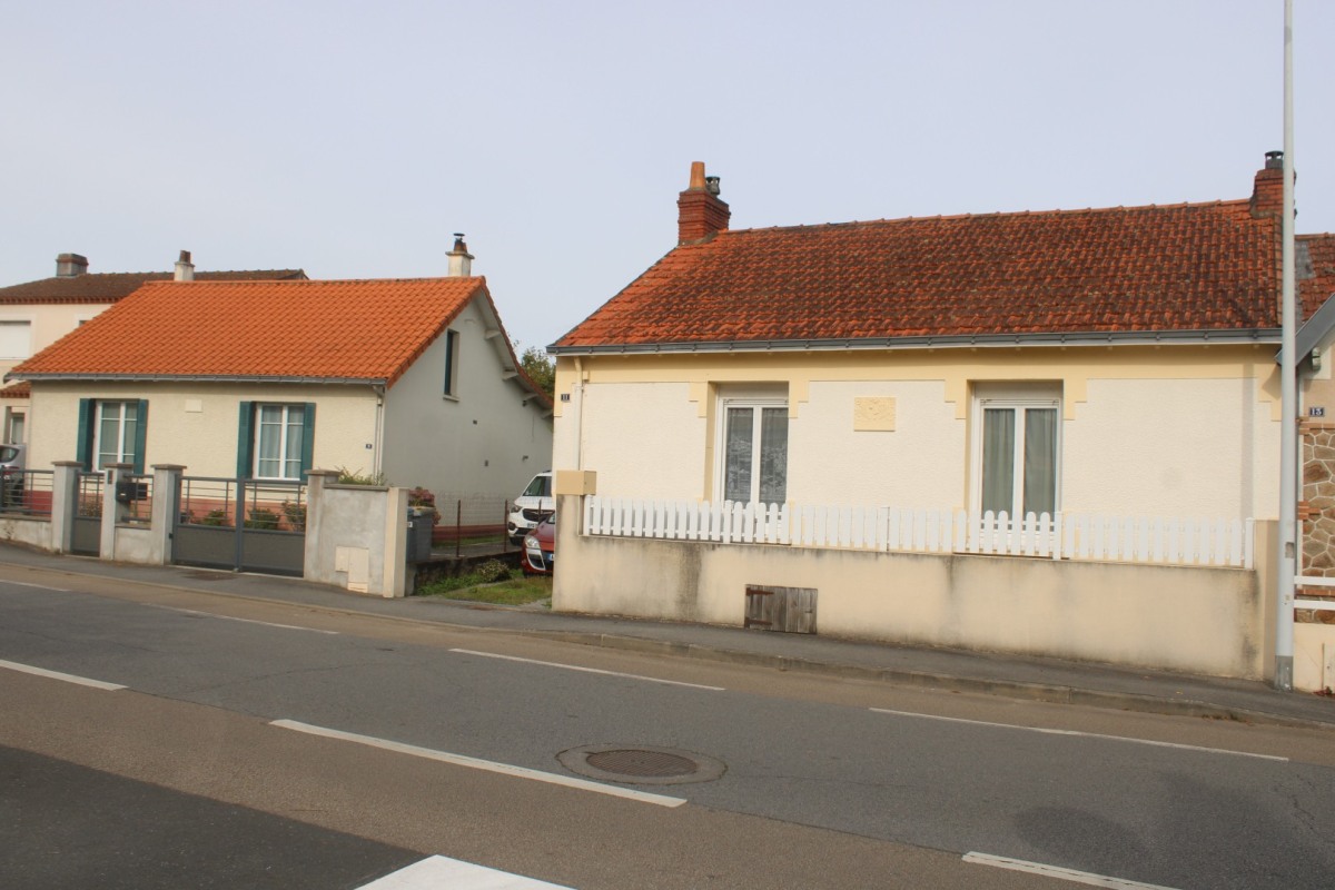 11-9-Laine-IMG_4822