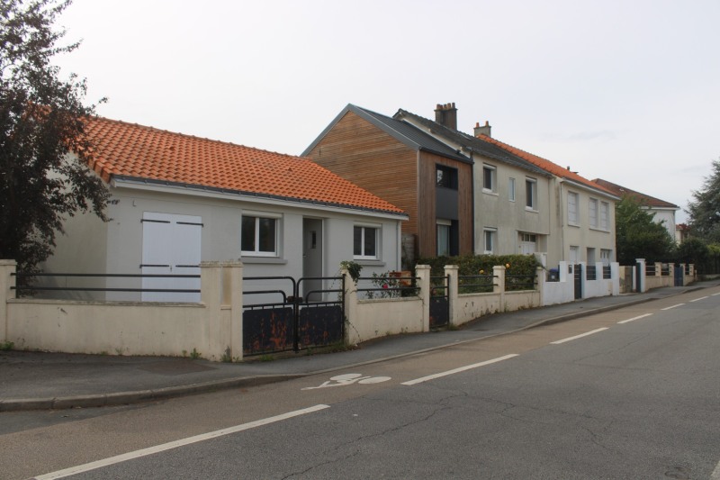 8-6-4-Laine-IMG_4825