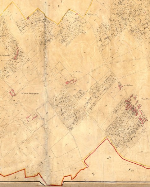 1826-B3-Sansonniere-Houssais-CheneCreux