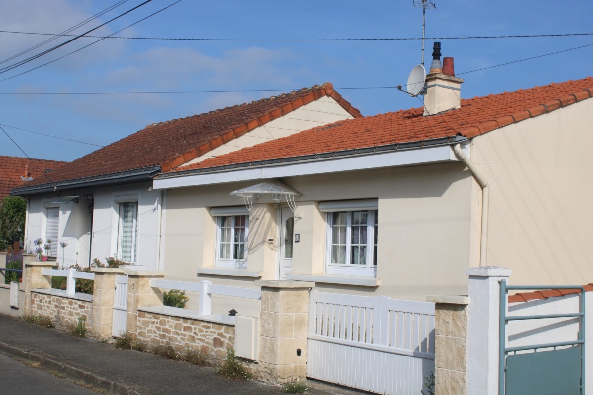 3-sansonniere-IMG_2383