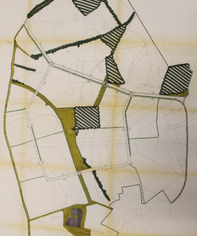 AMRezé_486-e-1988-NABb-Genetais-2