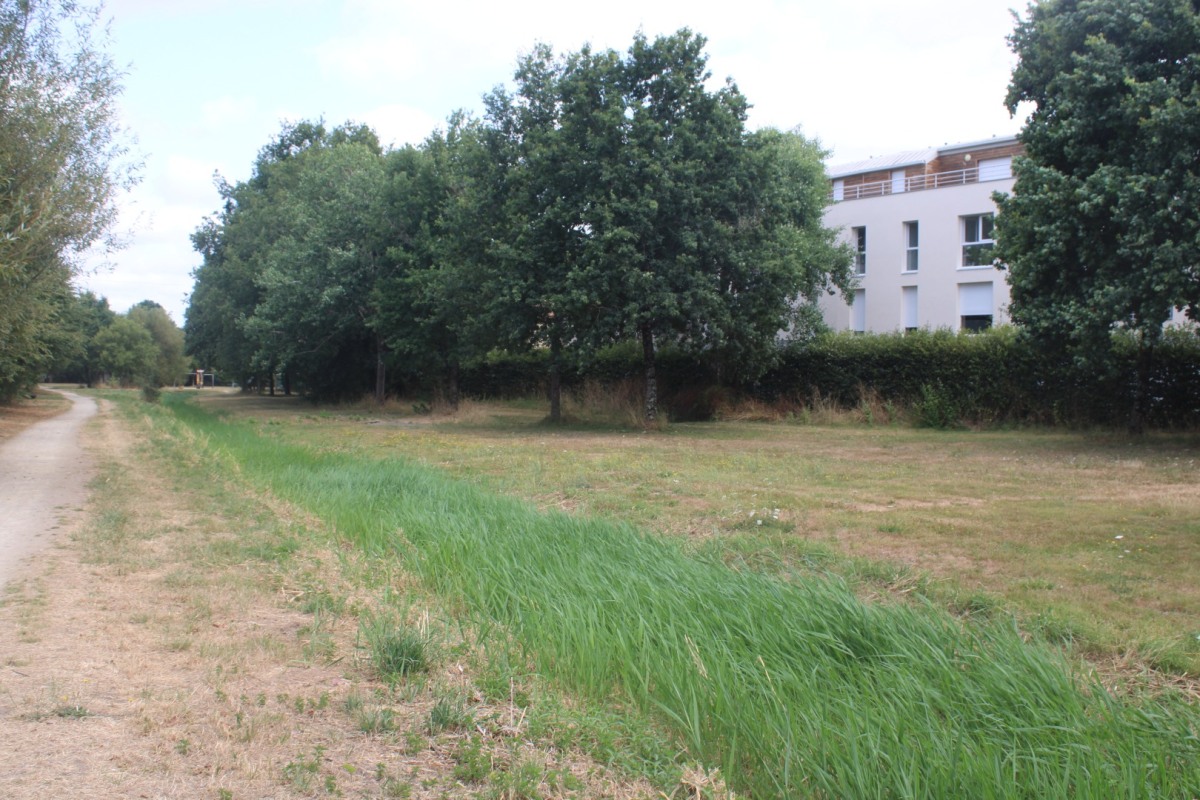 coulee-Jaguere-IMG_3450