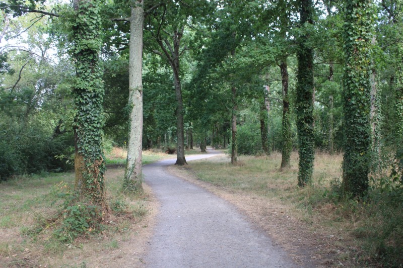 coulee-Jaguere-IMG_3454