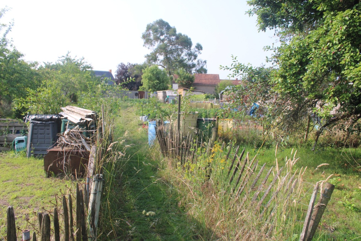 3-JBHamon-IMG_1954