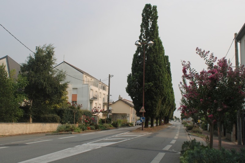 35-Riviere-IMG_4191