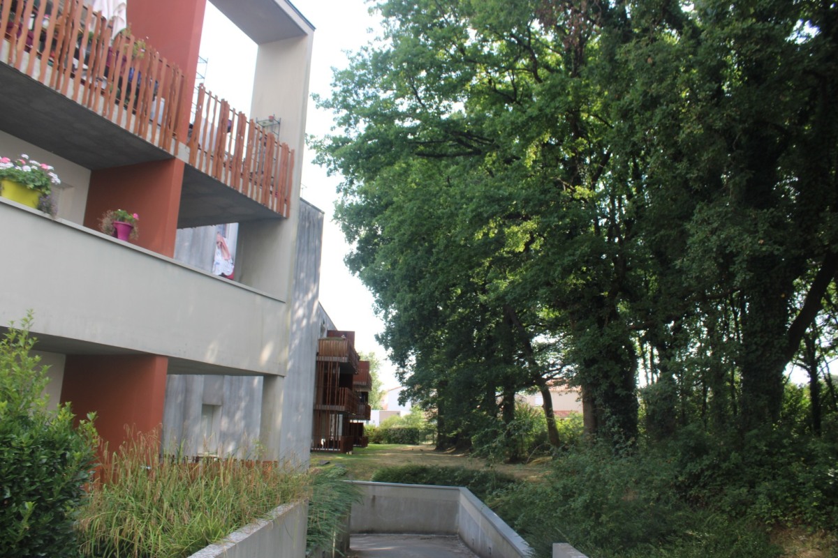 Pirotterie-IMG_3421